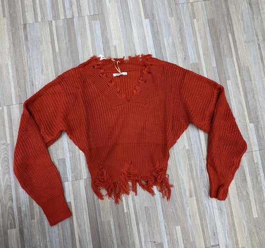 DARIA KNIT CROP LONG SLEEVE  V-NECK SWEATER (RUST)